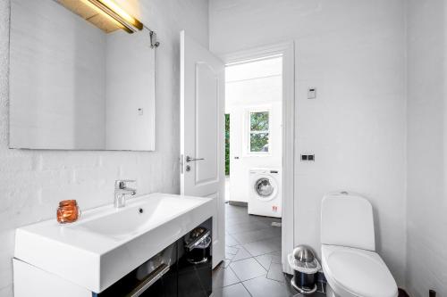 a white bathroom with a sink and a washing machine at Beautiful Holiday Home With Spa And Sauna, Close To The North Sea And The Center Of Søndervig in Ringkøbing
