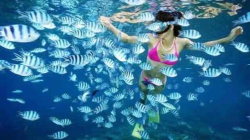 Επισκέπτες που μένουν στο Mana Lagoon Backpackers