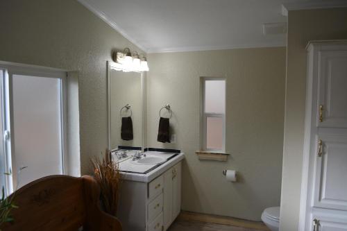 Un baño con lavabo, espejo e inodoro. en Mountain Cabin Retreat, en Florissant