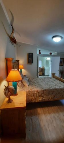 1 dormitorio con 1 cama con lámpara en una mesa en Mountain Cabin Retreat, en Florissant