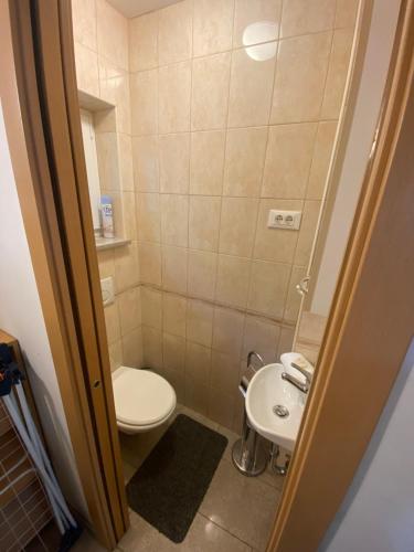 Un baño de Holiday Home Lemut