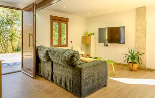 a living room with a couch and a television at 4 Bedroom Gorgeous Home In Lousame in Lousame