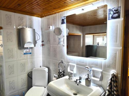 Un baño con inodoro, lavabo y espejo. en Galaxidi Traditional Villa, en Galaxidhion