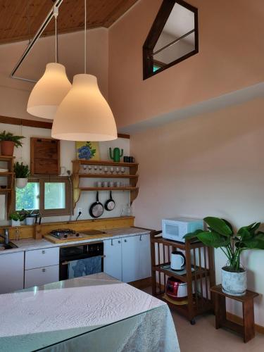 a kitchen with white cabinets and a table with a plant at Jirigourmoe in Gurye