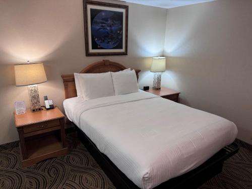 Postel nebo postele na pokoji v ubytování Promenade Inn & Suites Oceanfront