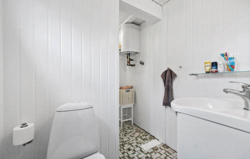 a white bathroom with a toilet and a sink at Gorgeous Home In Asnæs With Wifi in Asnæs