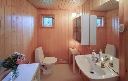 a bathroom with a sink and a toilet at Gorgeous Home In Likenäs With Sauna in Likenäs