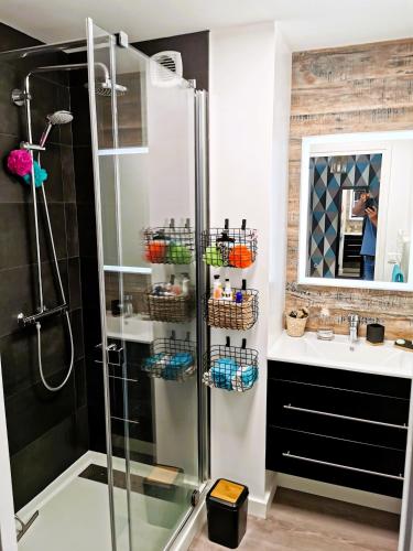 une salle de bain avec douche et lavabo dans l'établissement Au Paradis Sablais, à Les Sables-dʼOlonne