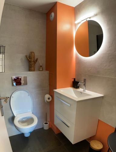 a bathroom with a toilet and a sink and a mirror at Appartement confortable 4 personnes à 10 min de strasbourg - Parking inclus in Schiltigheim