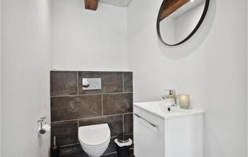a bathroom with a toilet and a sink and a mirror at Lovely Home In Tim With Sauna in Halkær