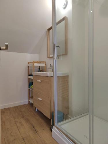 une salle de bain avec douche et lavabo dans l'établissement Coeur de ville, 3 chambres, 6 personnes, à Paimpol