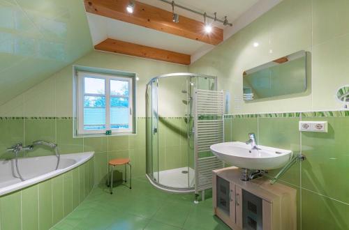 un bagno con lavandino, vasca e doccia di Havelquelle mit Sauna und Garten a Kratzeburg
