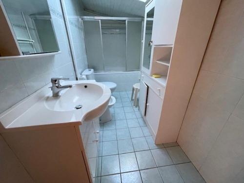 une salle de bain avec un lavabo et des toilettes dans l'établissement Appartement duplex spacieux 8 pers. au pied des pistes, centre station - FR-1-516-195, à Les Deux Alpes