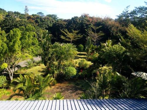a view of a garden with trees and bushes at Domaine du Cachet in Rivière Noire