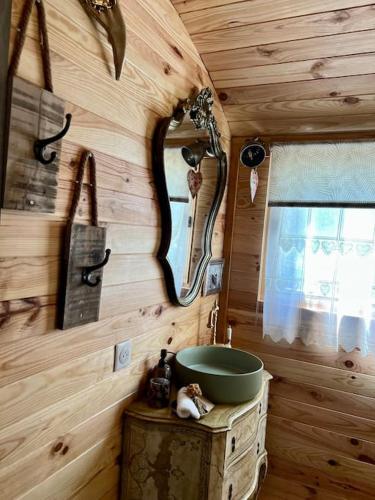 La salle de bains est pourvue d'un lavabo et d'un miroir sur un mur en bois. dans l'établissement Roulotte insolite U tragulinu, à Zonza