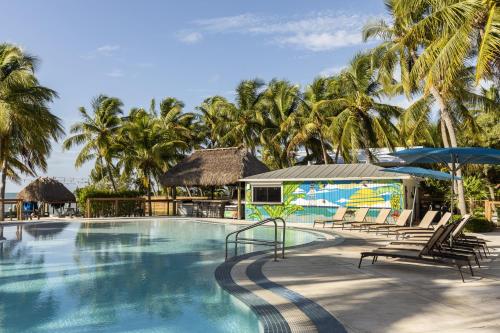 a swimming pool with chairs and umbrellas and palm trees at La Siesta Resort & Villas in Islamorada