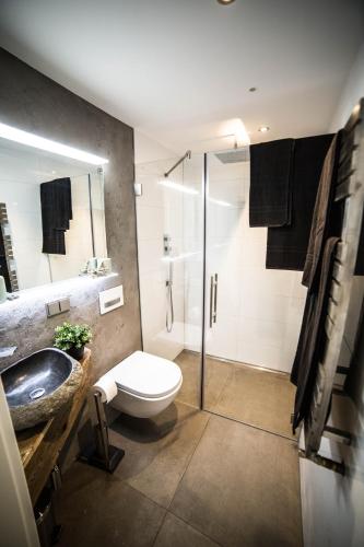 a bathroom with a toilet and a sink and a shower at Ferienwohnung Hanhofen in Hanhofen