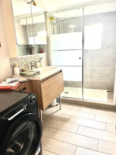 une machine à laver dans une salle de bain avec douche dans l'établissement Appartement cosy, à Saint-Hilaire-de-Brethmas