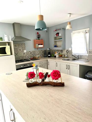 - une cuisine avec un comptoir orné de roses rouges dans l'établissement Appartement cosy, à Saint-Hilaire-de-Brethmas