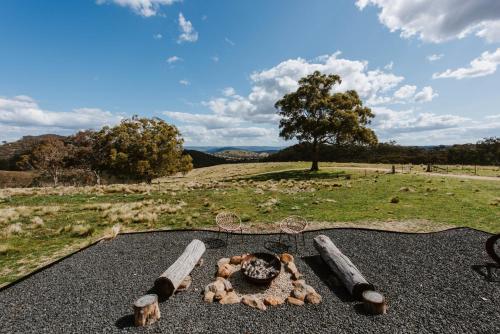 a group of teddy bears laying on the ground at Wildnest Wilderness in Turondale