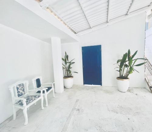 a white room with a blue door and potted plants at The Tranquilite' in Anuradhapura
