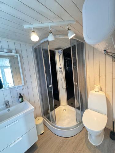 a bathroom with a shower and a toilet and a sink at Sjøberg Hotell og Ferie Leiligheter in Østhusvik