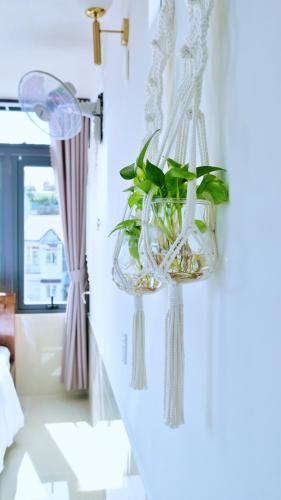 a plant in a glass vase hanging on a wall at Lantana Homestay in Da Lat