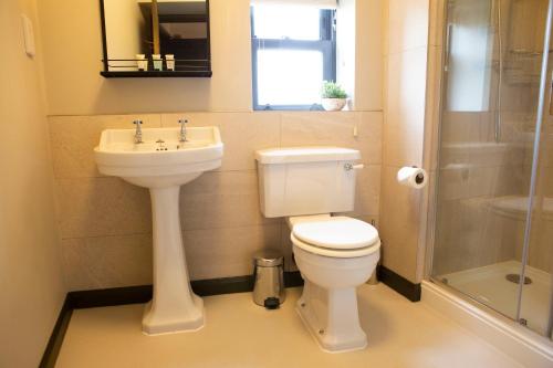 a bathroom with a toilet and a sink and a shower at Square & Compass in Two Dales