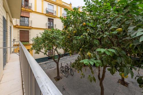 Wide with beautiful kitchen 2Bd 3Bth -Arenal photo 7
