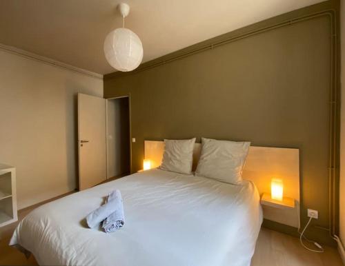 a bedroom with a large white bed with two lights at Centre-ville historique in Grenoble