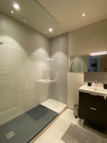 une salle de bain avec une douche en verre et un lavabo dans l'établissement Centre-ville historique, à Grenoble