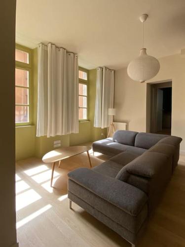 un salon avec un canapé et une table dans l'établissement Centre-ville historique, à Grenoble