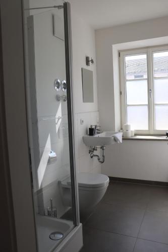 a bathroom with a shower and a toilet and a sink at meywohnen Stadthaus Bad Aibling in Bad Aibling