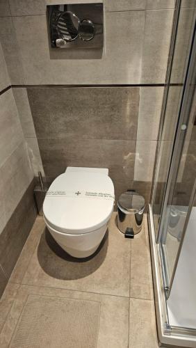 a bathroom with a white toilet in a room at Ponte della musica Teatro Olimpico in Rome