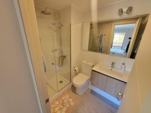 Un baño con inodoro, lavabo y ducha. en Departamento Frente al Lago, en Villarrica