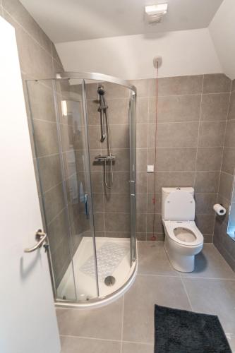a bathroom with a shower and a toilet at Talbot Street Guest House in Dublin