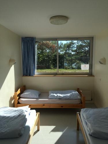 deux lits dans une chambre avec une fenêtre dans l'établissement Auberge de Jeunesse HI Lorient, à Lorient