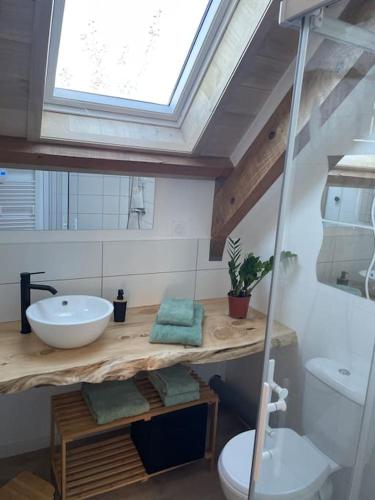 une salle de bain avec un lavabo et des toilettes et une fenêtre dans l'établissement La Maison Lacalle 8 personnes, à Saint-Savin