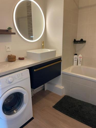 une salle de bain avec une machine à laver et un lavabo dans l'établissement Appartement 3 chambres, Terrasse, Parking, Clim', à Bordeaux