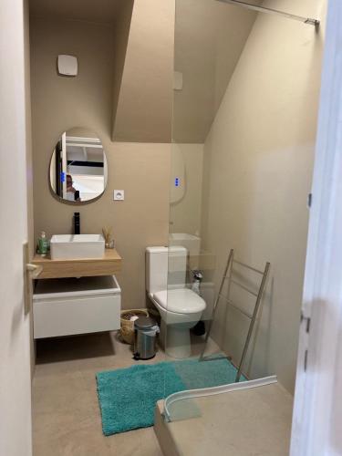une salle de bain avec toilettes, lavabo et miroir dans l'établissement Loft - centre historique, à Villefranche-sur-Mer