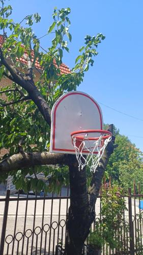 a basketball hoop stuck in a tree at Apartman ''Nena,, in Soko Banja