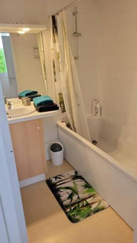 une salle de bain avec un lavabo, une baignoire et un miroir dans l'établissement Beau T2 proche de Toulouse, à Rouffiac-Tolosan