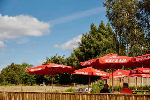 a group of people sitting under red umbrellas at The Red Lion, Madley in Hereford