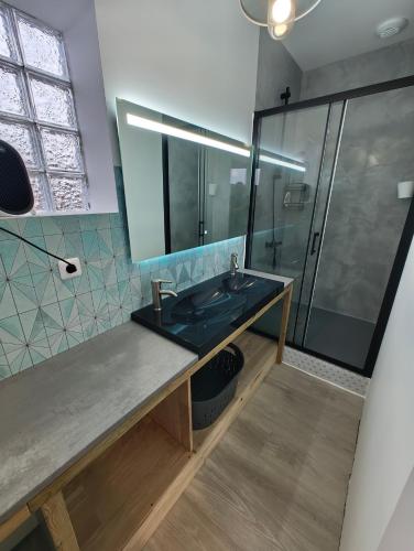 une salle de bain avec un lavabo et une douche en verre dans l'établissement Appartement Familial proche de Carcassonne, à Villemoustaussou