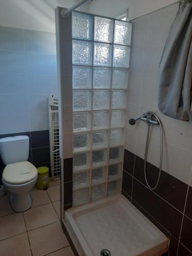 a bathroom with a shower and a toilet at Caret in Sainte-Rose