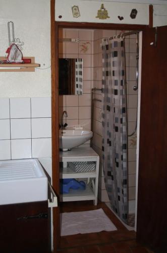 une petite salle de bain avec un lavabo et une douche dans l'établissement Studio confortable avec vue sur le lac - 30 m² - Gérardmer, à Gérardmer