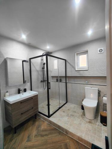 une salle de bain avec douche et toilettes dans l'établissement Maison individuelle, à Oignies