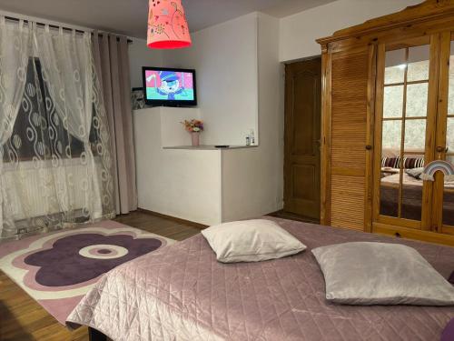 a bedroom with a large bed and a tv at E'milu Residence in Ghimbav