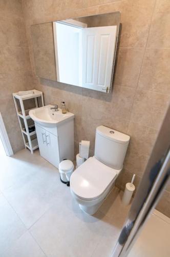 a bathroom with a toilet and a sink and a mirror at The Oak Studio-Kilpatrick Glebe, Pet Friendly in Wexford