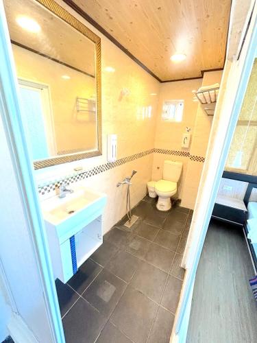 a bathroom with a sink and a toilet at 巴斯拉岸民宿 in Chenggong